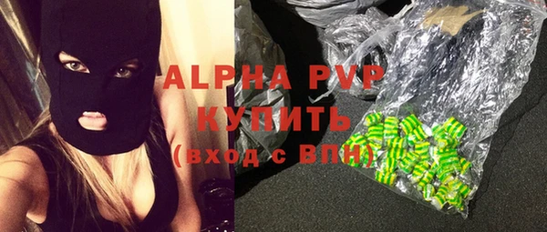 прущие грибы Аркадак