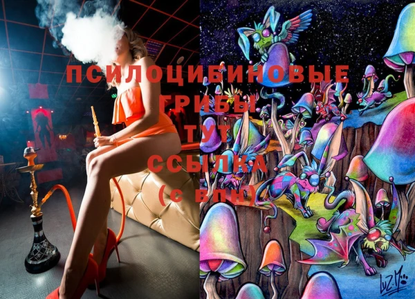 бутират Козловка
