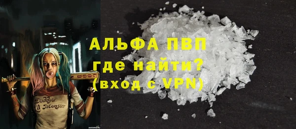 прущие грибы Аркадак
